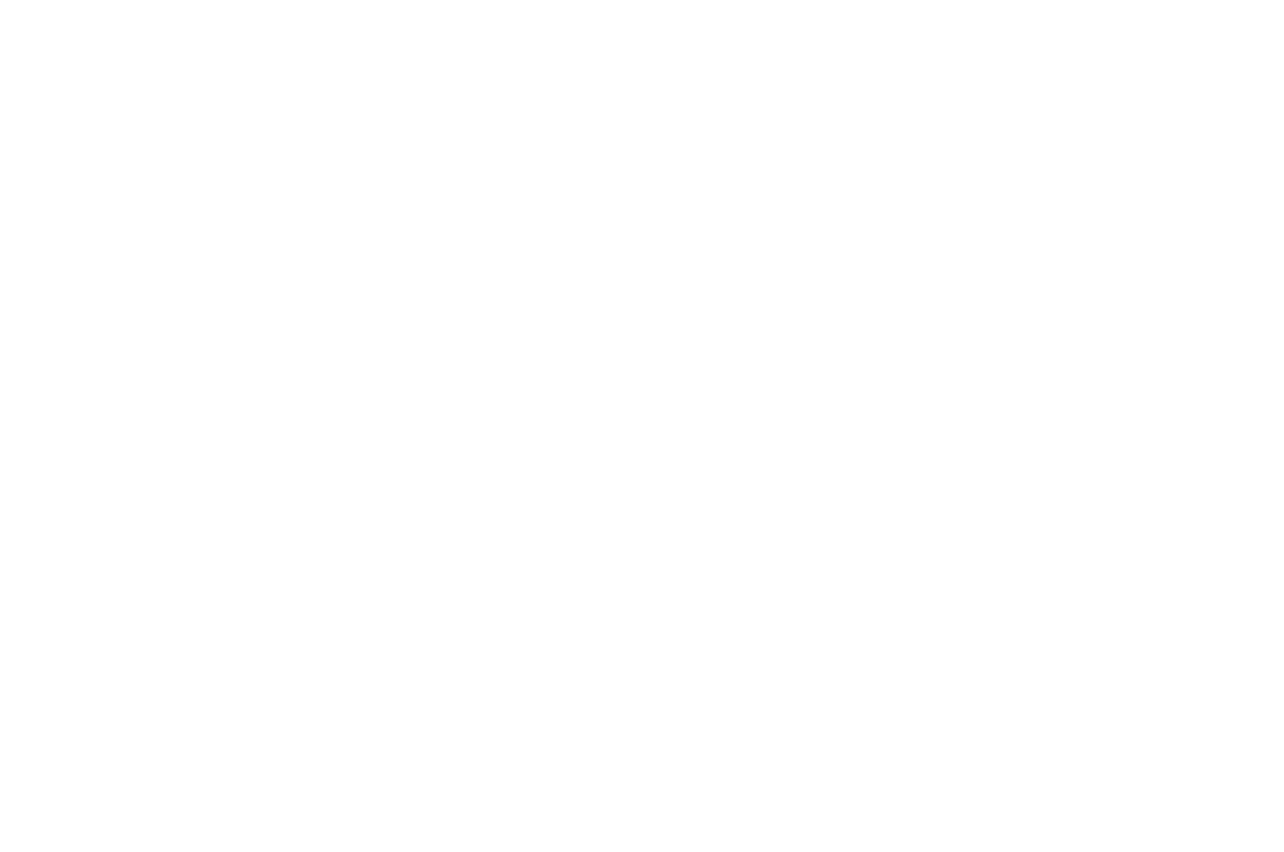 Fisiese Wetenskappe Grade 10 