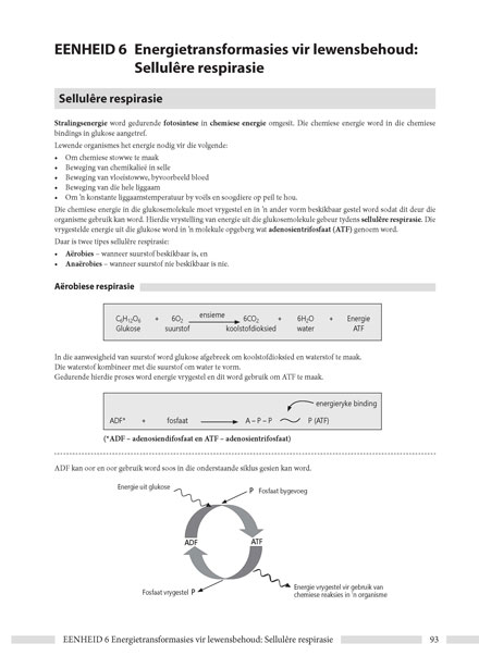 File Icons