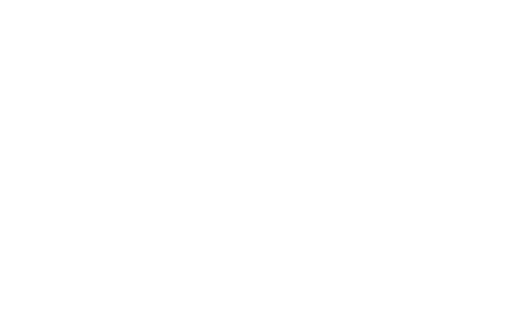 Fisiese Wetenskappe Grade 12 